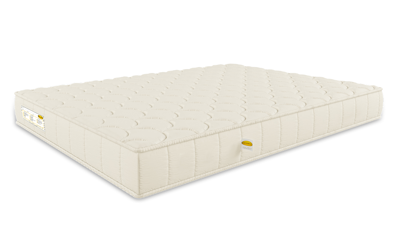 Benartti Roll Max фото 3